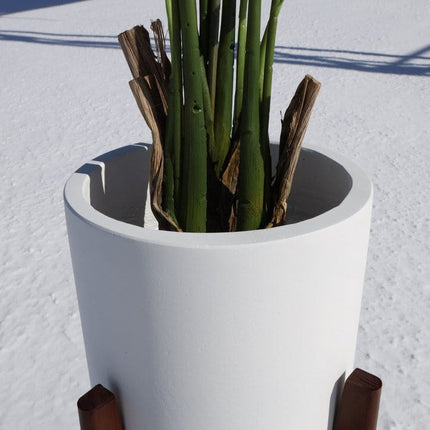 Boni White Mid - Century Cement Planter With Wooden Stand