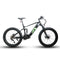 E-Bike