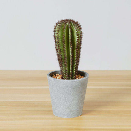 Goza Artificial Cactus Tree Potted Plant 9"