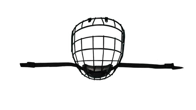 FACE MASK / GRILLE