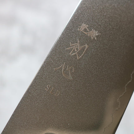 Hatsukokoro Hikari SLD Gyuto 210 mm