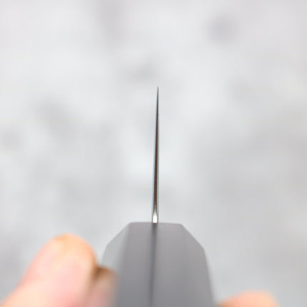 Hatsukokoro Hikari SLD Gyuto 210 mm