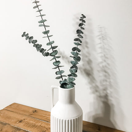 Preserved Stems - Medium