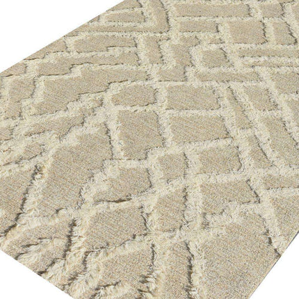 Iris Woven Wool 6X9 Rug