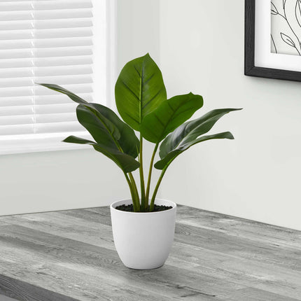 Plante artificielle - Aureum Intérieur Pot 5'', 17''H - Monarch (I 9502)