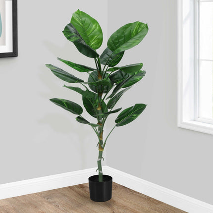 Plante artificielle - Dieffenbachia Intérieur Pot 5'', 54''H - Monarch (I 9519)