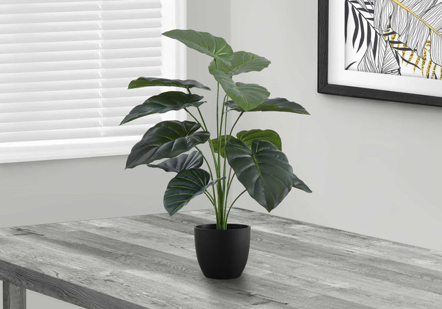 Plante artificielle - Alocasia Intérieur Pot 5'', 24''H - Monarch (I 9578)