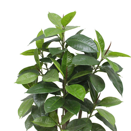 Encanto Artificial Rubber Potted Plant (Multiple Sizes)