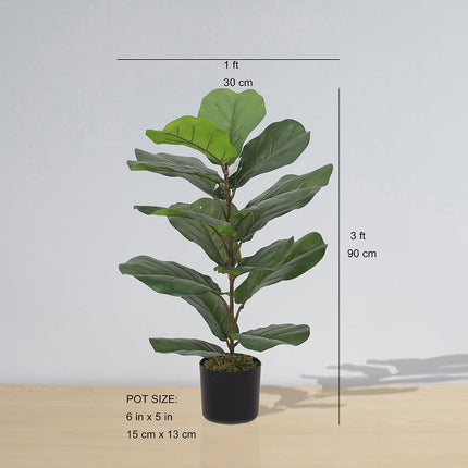 Anza Artificial Fiddle Leaf Potted Plant (Multiple Sizes)