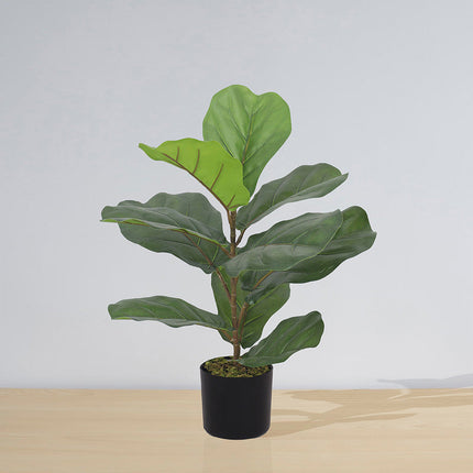 Anza Artificial Fiddle Leaf Potted Plant (Multiple Sizes)