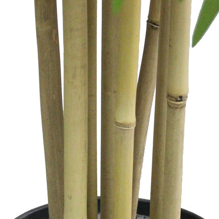 Ceja Artificial Korea Bamboo Potted Plant (Multiple Sizes)