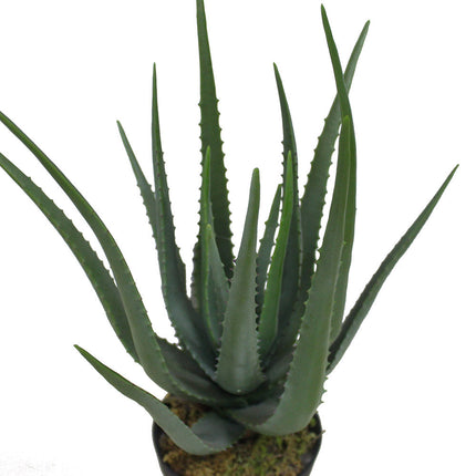 Guamo Artificial Aloe Vera Potted Plant (Multiple Sizes)