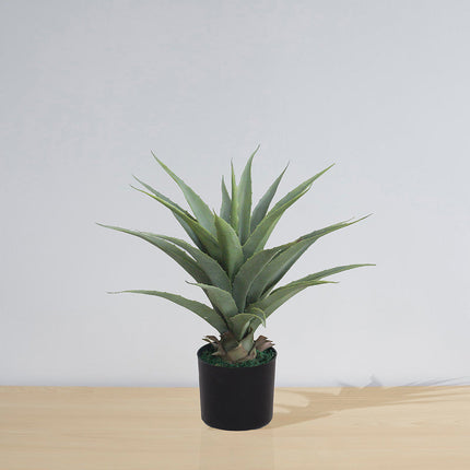 Tunja Artificial Century Potted Plant (Multiple Sizes)