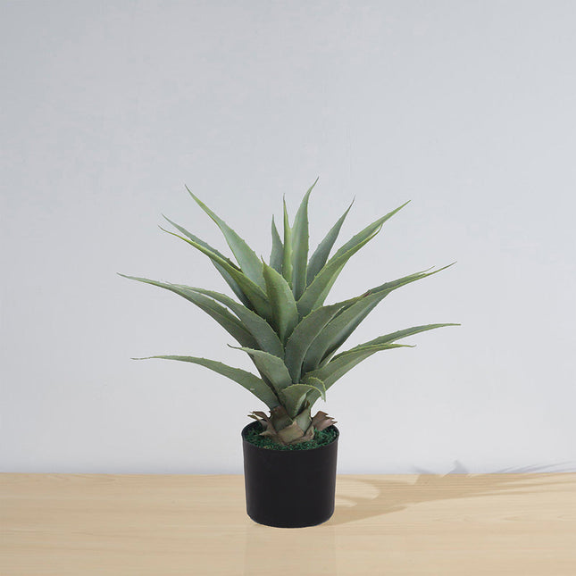 Tunja Artificial Century Potted Plant (Multiple Sizes)