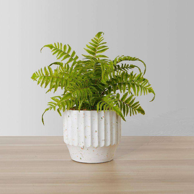 Kuwu Potted Faux Fern