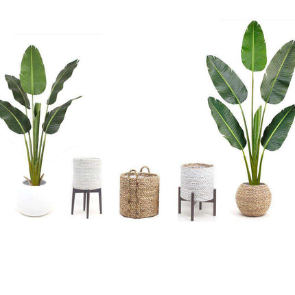 Luca Artificial Bird Of Paradise Potted Plant (Multiple Sizes)