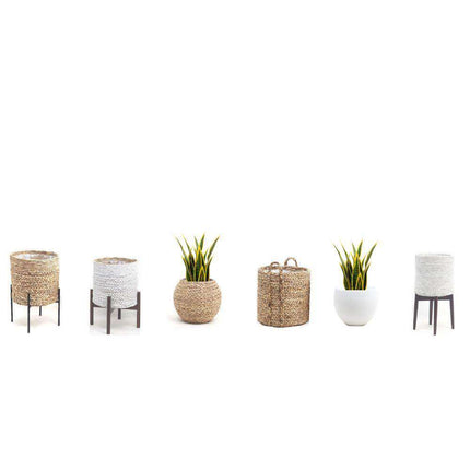 Luis Artificial Snake Sansevieria Yellow & Green Potted Plant 26"