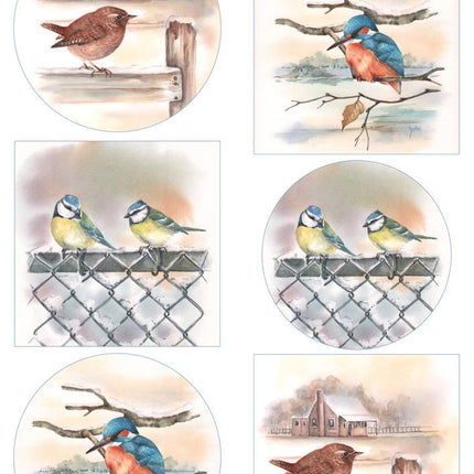 Marianne Design A4 Cutting Sheet - Mattie's Mooiste Birds In Winter