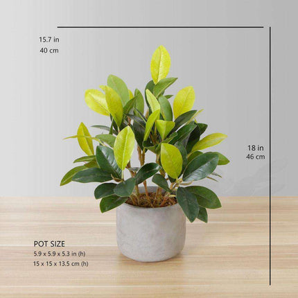 Moralilo Potted Faux Watercress Plant