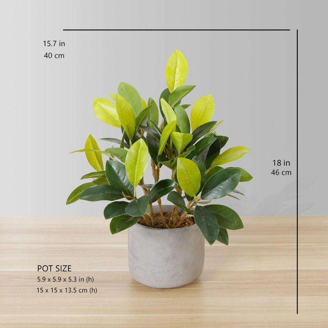 Moralilo Potted Faux Watercress Plant