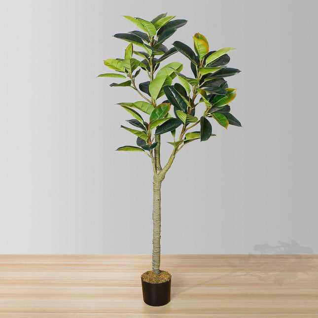 Nero Artificial Rubber Potted Plant 5'