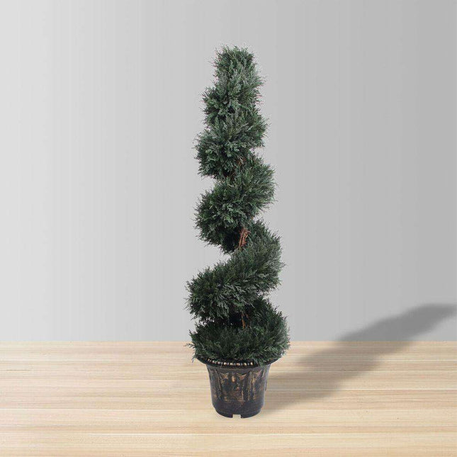 Perth Faux Potted Spiral Boxwood Topiary Plant (Multiple Sizes)
