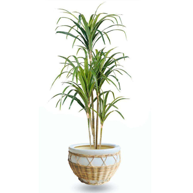 Pura Ceramic Planter 12''