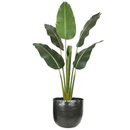 Ponche - Brass Black Basket Planter