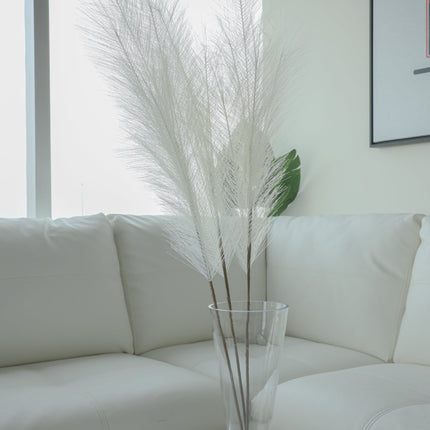 Artificial Pampas Grass Arrangement Ivory (2 Sizes)