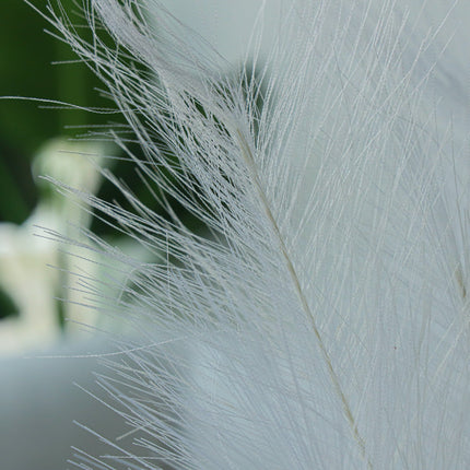 Artificial Pampas Grass Arrangement Ivory (2 Sizes)