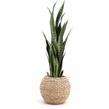 Rafa- Water Hyacinth Natural Round Floor Planter