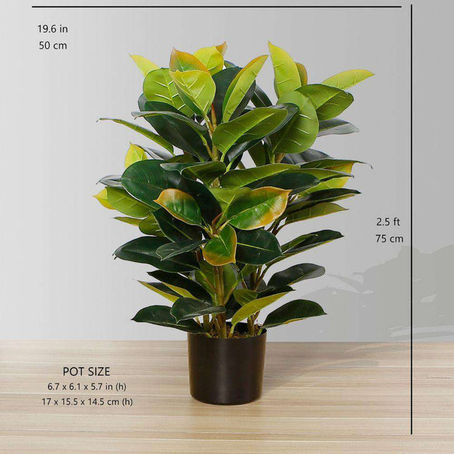 Rubi Artificial Rubber Potted Plant 2.5'