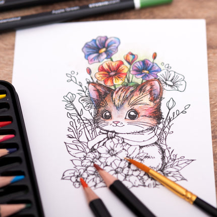 SL Pencils 12 Watercolor Pencils Essentials 12 Pieces