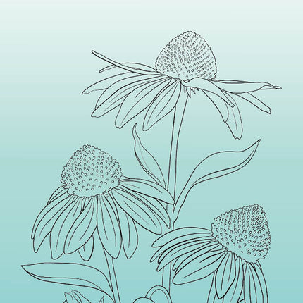 SL Clear Stamp Echinacea Essentials 93x136x3mm 1 PC nr.543