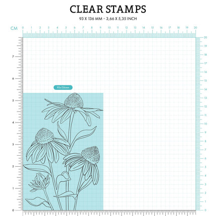SL Clear Stamp Echinacea Essentials 93x136x3mm 1 PC nr.543