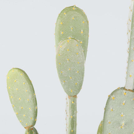Solo Artificial Cactus Potted Plant 41''
