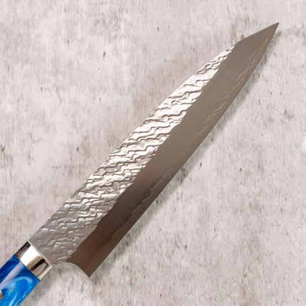 Takeshi Saji STRIX Gyuto 210 mm