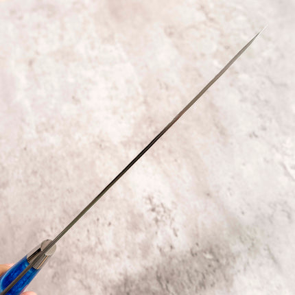 Takeshi Saji STRIX Gyuto 210 mm