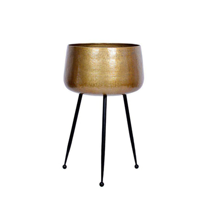 Sara - Brass Planter With Black Legs
