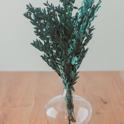 Preserved Short Willow Eucalyptus (Parvifolia)