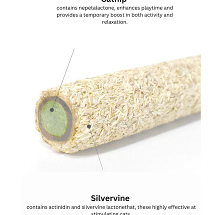 Silvervine Egg Rolls 2pcs