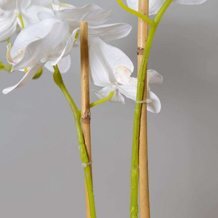 Tampico Faux Potted Orchid Floral Arrangement 24 Inches