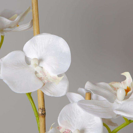 Tampico Faux Potted Orchid Floral Arrangement 24 Inches