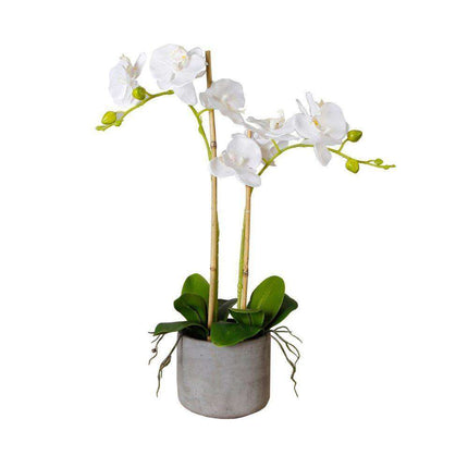 Tampico Faux Potted Orchid Floral Arrangement 24 Inches