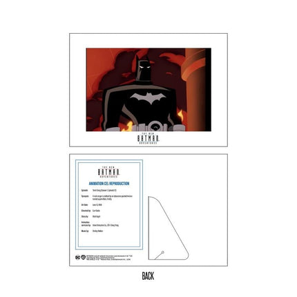 The New Batman Adventures Batman (Anti-Fire Suit) Action Figure