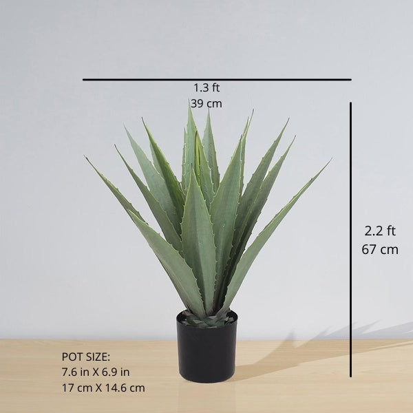 Tunja Artificial Century Potted Plant (Multiple Sizes)