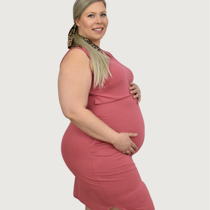 Randi Maternity & Nursing Dress