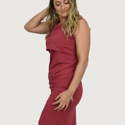 Brittany Maternity and Nursing Dress