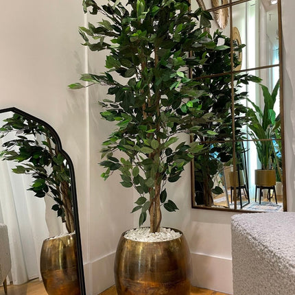 Tarso Artificial Ficus Potted Plant 6'