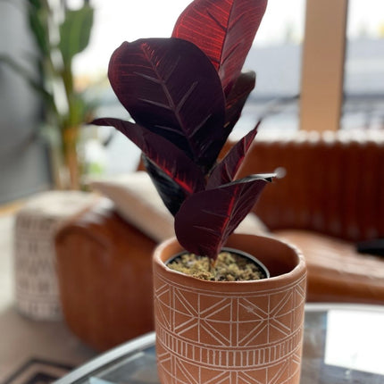 Mongui Artificial Rubber Potted Plant 1.2'